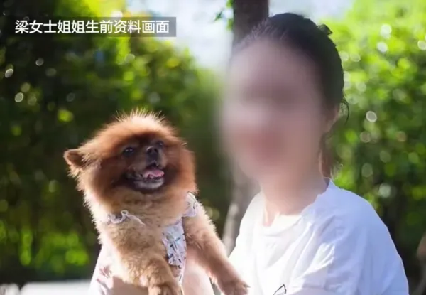 ▲女子出差35天、加班71小時,過勞猝死。(圖/翻攝自微博)