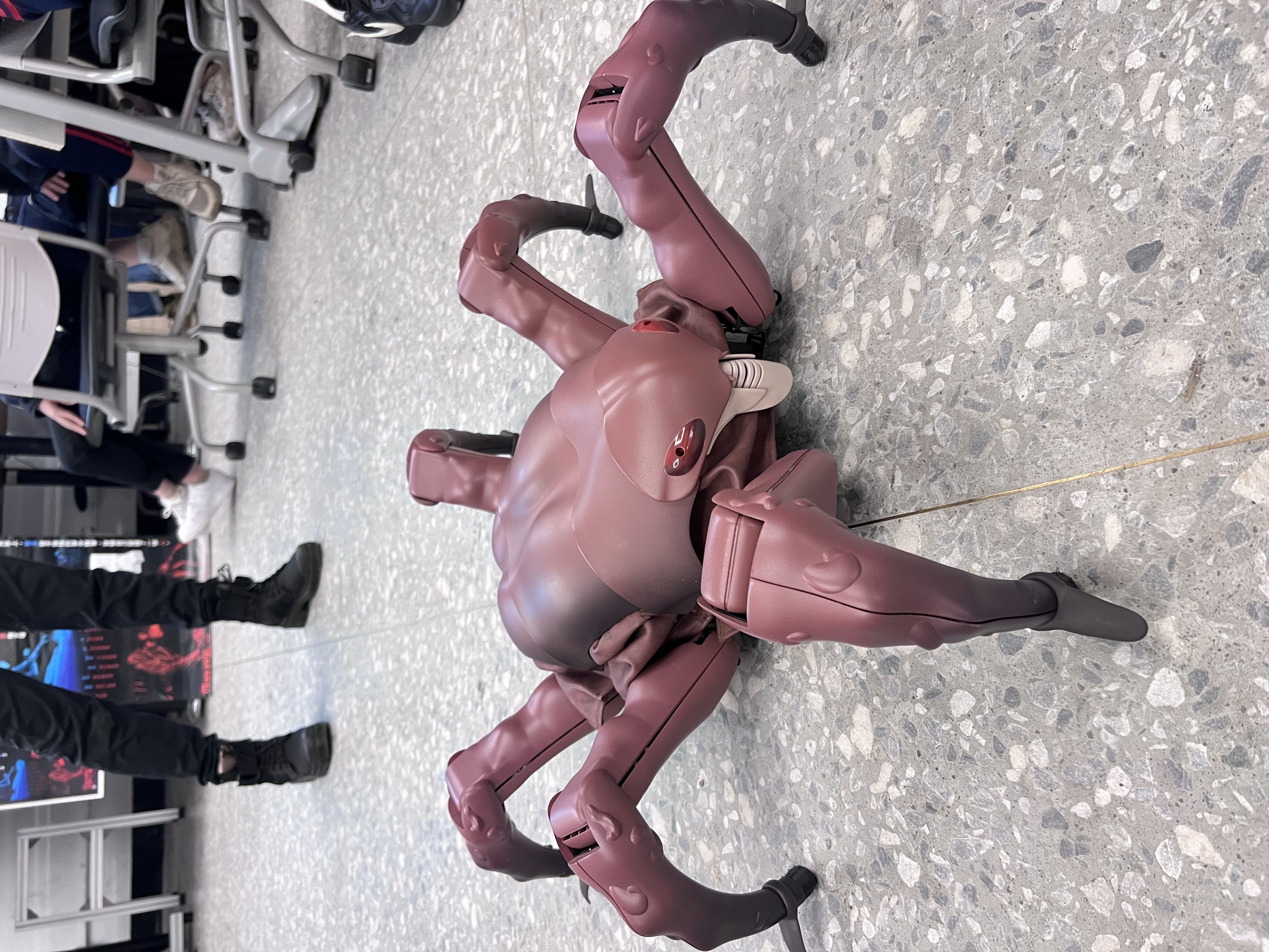 ▲▼大同大學打造全台第一隻跳舞機械蟲「萊夫」,攜手稻草人舞團演出。(圖/記者許敏溶攝)