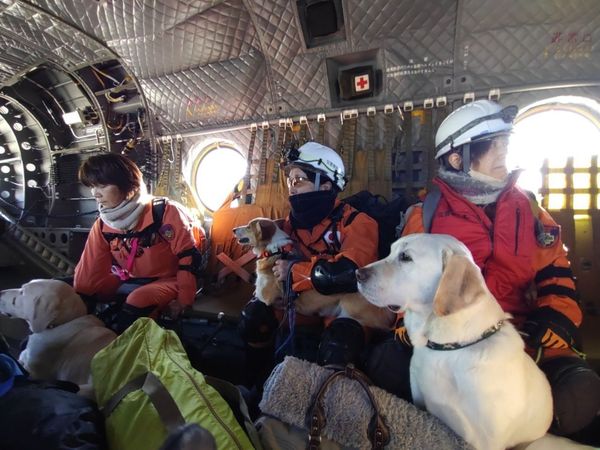 「認定NPO法人災害救助犬静岡」派出6人、4犬從靜岡進入能登地區，並在現場與靜岡縣警一起行動。（翻攝自X@drdshizuoka）