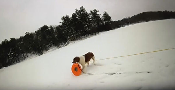 ▲▼密西根男受困冰湖，被寵物犬救出。（圖／達志影像／美聯社）