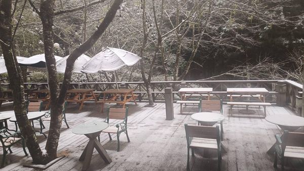 ▲▼明池山莊和明池森林遊樂區下雪。(圖/力麗觀光提供)