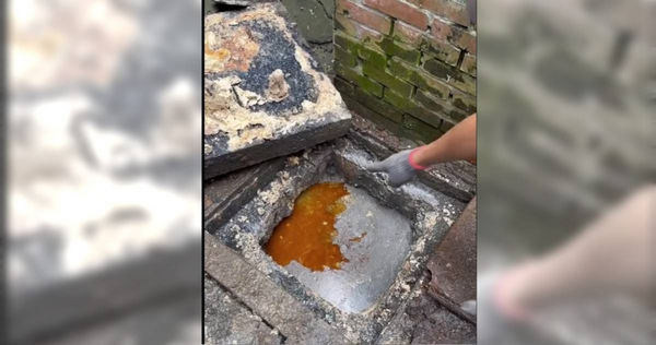 北市公館商圈知名的隱家拉麵店,遭店面後方的茉莉二手書台大店怒控排放廢油,導致化糞池與水溝堵塞。(圖/翻攝自茉莉二手書台大店臉書)