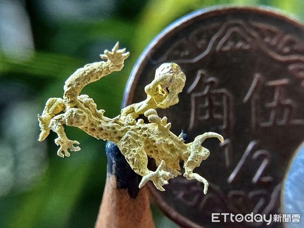 ▲毫芒雕刻陳逢顯,龍年雕刻黃金龍祝賀。(圖/記者陸運陞翻攝)