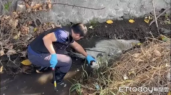 ▲環保局萬丹大排查汙染源 。(圖/記者陳崑福翻攝)