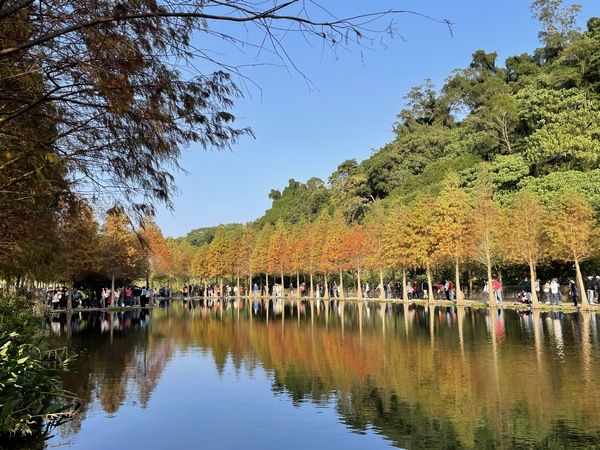 ▲桃園春節好去處