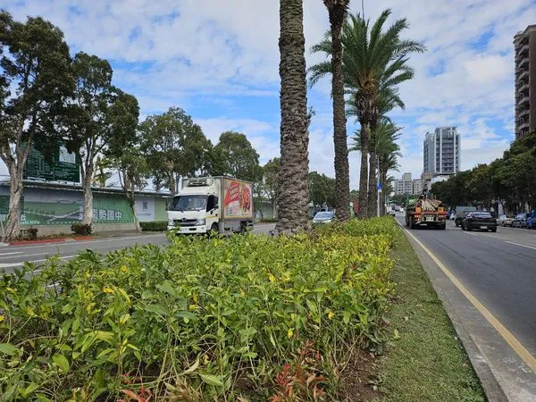 ▲新北優化景觀廊道 林口文化北路中央分隔島再升級。(圖/新北市景觀處提供)