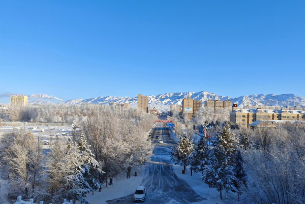 ▲新疆雪景。（圖／翻攝自微博）