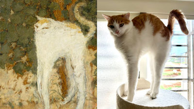 油畫《白貓》畫得很抽象？日網友抓拍自家愛貓「一模一樣」　網直呼模特本貓