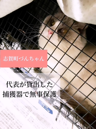 日本地震貓咪走失29天回家了。（圖／翻攝自IG@tsukaneko222）