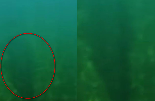 五寶媽帶孩到溪流游泳　返家看照片發現身旁有「3公尺巨獸」潛伏。（圖／翻攝自Queensland DESI）