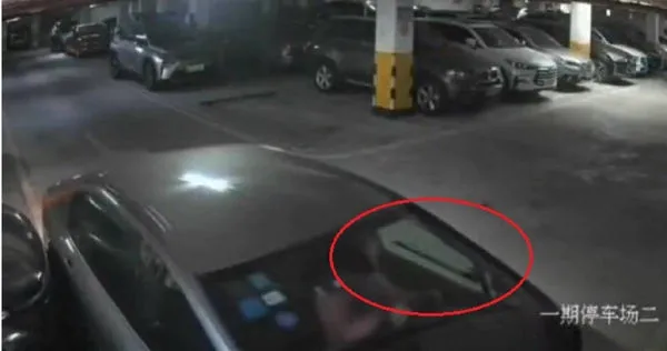 女駕駛誤把方向燈錯打成雨刷。(圖/翻攝自爆料公社)