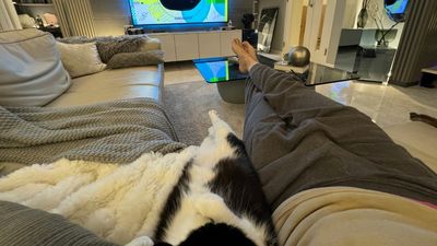 貓皇與奴才「懶躺沙發看電視」享受生活　雙腳交叉伸直動作超同步