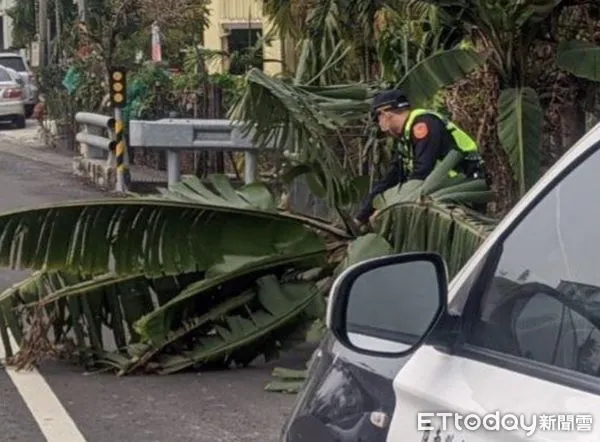 ▲枋寮警分局石光派出所副所長吳德懷、警員陳秉凡排除香蕉樹 。(圖/記者陳崑福翻攝)