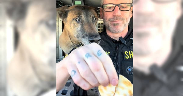 台灣「這零食」紅到歐美!超涮嘴老外連嗑2包 33萬人敲碗哪裡買