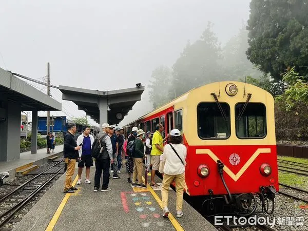 ▲阿里山林鐵。(圖/記者楊惠琪攝)