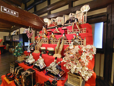 日本深度旅遊看女兒節「雛祭り」
