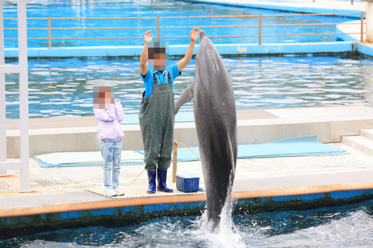▲▼南韓巨濟島上的水族館「巨濟海洋世界」疑似虐待動物，館內2隻年輕海豚2月底相繼死亡，其中一隻名叫Nova的海豚死前4天還在登台表演。（圖／翻攝自Facebook／hotpinkdolphins）