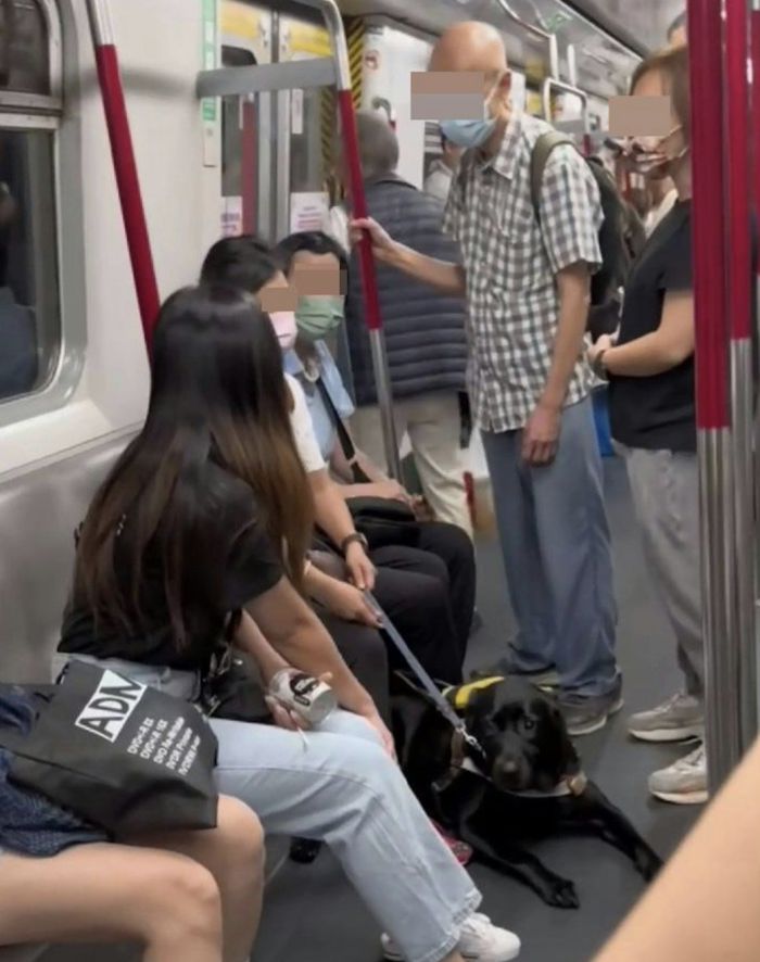 ▲香港一名老伯在地鐵上辱罵導盲犬，被視障女主人一句話霸氣反擊。（圖／翻攝臉書香港突發事故報料區）