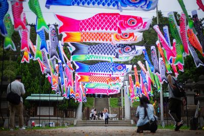 桃園神社「鯉魚流光祭り」免費拍！