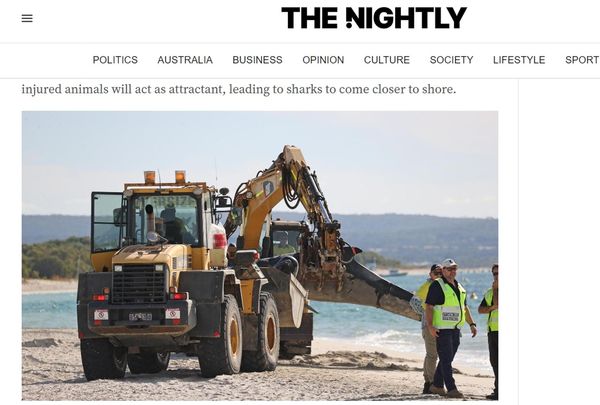 專業人士協助將死去的鯨魚從海灘上移走。（翻攝自《西澳大利亞人報》）