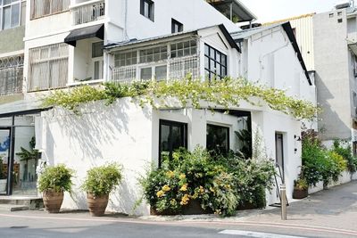置身祕密花園！結合花藝的台南咖啡廳
