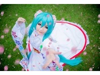 初音未來（圖／核桃緋提供）