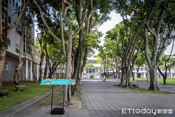 ▲▲技藝傳承工作坊月底將於台灣工藝文化園區登場。(圖/資料照片,國立臺灣工藝研究發展中心提供)