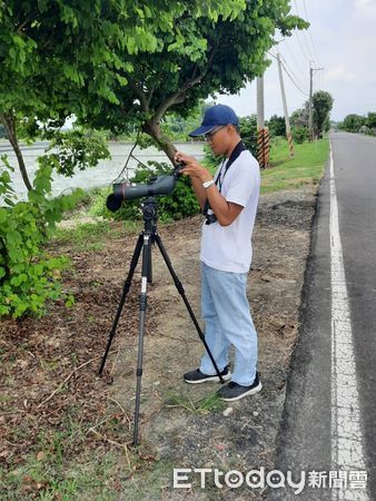 ▲水雉生態教育園區2024年台南地區菱角鳥夏季調查,發現水雉族群數量達1664隻,相較去年增加了5隻。 (圖/記者林東良翻攝,下同)