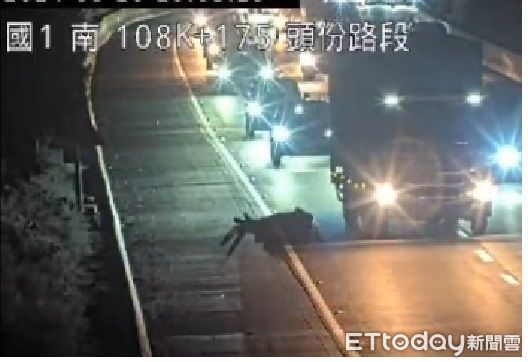 ▲鍾姓醉漢闖入國道嚇壞許多駕駛,國道警方將追究鍾的公共危險罪嫌。(圖/記者楊永盛翻攝)