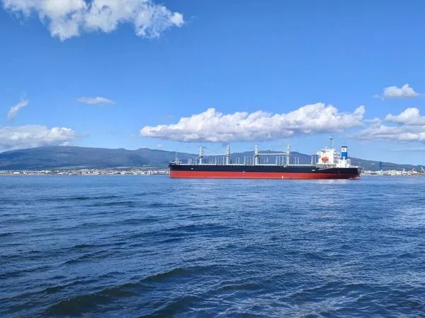 ▲正德海運第6艘4萬載重噸輕便型高規格節能減碳散裝貨輪Franbo Bravo。(圖/正德提供)