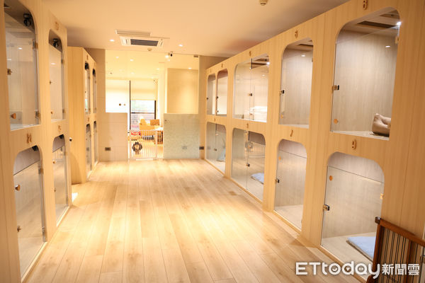 ▲▼ 專訪:潘慧如開寵物美容店瀕失敗又起死回生-店家。(圖/記者黃克翔攝)