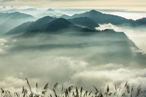 ▲▼嘉義阿里山英迪格酒店。(圖/業者提供)