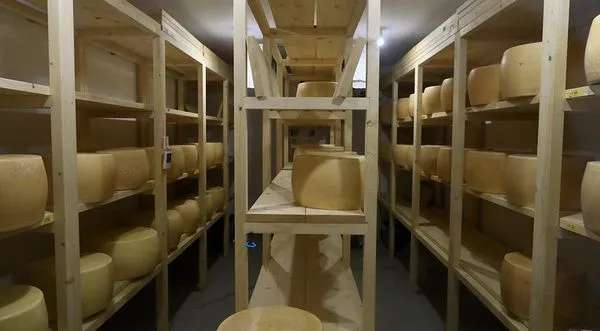 ▲▼米其林推薦北海道隱藏餐館!羊排外層金黃酥脆、內裡柔軟多汁。(圖/部落客小虎提供)