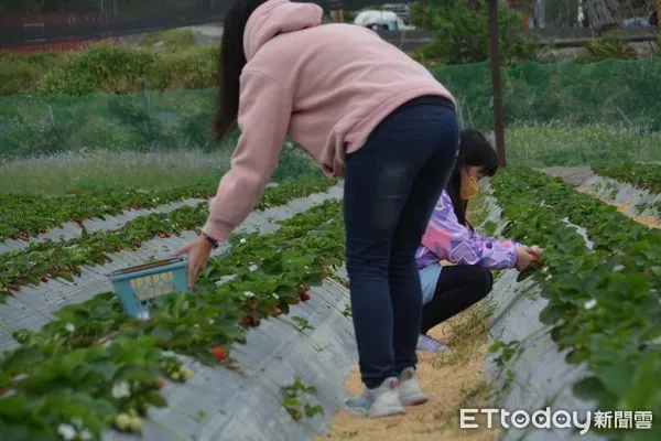 ▲台東關山自行車道飄起果香味。(圖/記者楊漢聲翻攝)