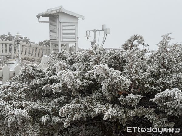 ▲▼玉山氣象站今晨出現霧淞以及雨淞,變成銀白世界 。(圖/氣象署提供)