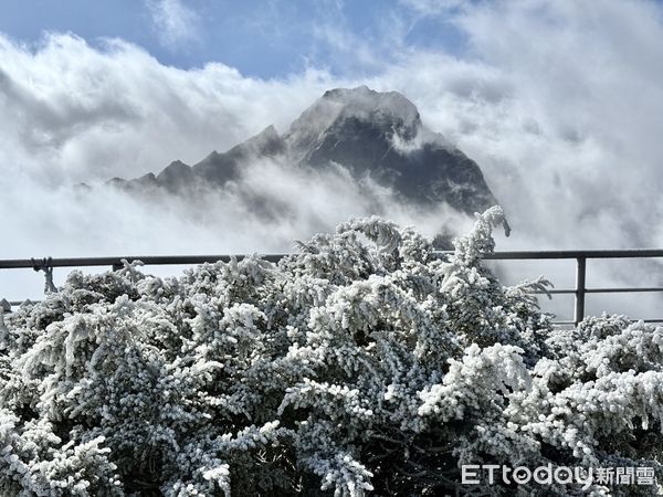 ▲▼玉山氣象站清晨出現霧淞以及雨淞。(圖/氣象署提供)