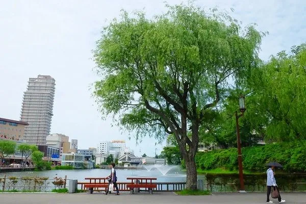 ▲▼秋田婆婆冰.可愛的玫瑰叭噗冰,巧遇千秋公園路邊攤。(圖/部落客飛天璇提供)