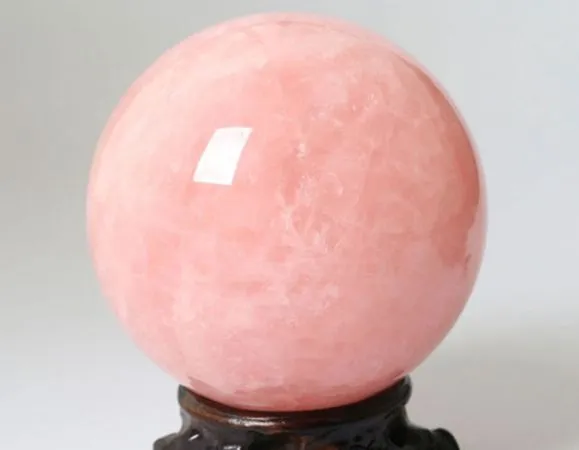 ▲▼ 。(圖片來源/Shutterstock)