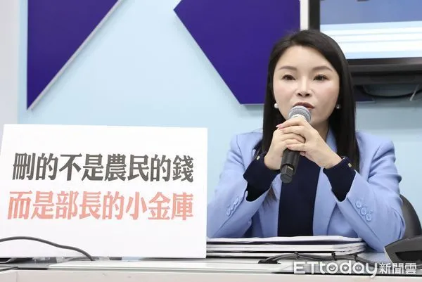 ▲國民黨立委張嘉郡。(資料照/記者屠惠剛攝)