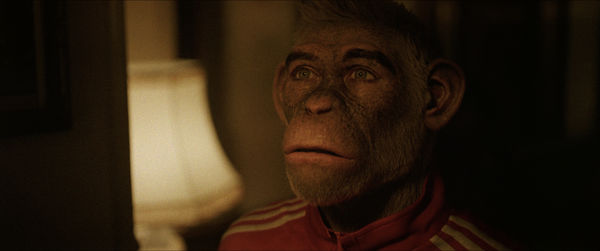 ▲《更好的人》上映後,受到許多觀眾好評。(圖/台北双喜電影發行股份有限公司)