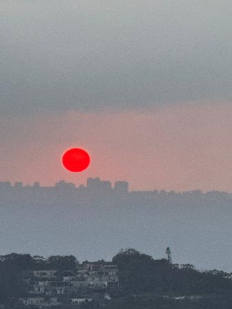 ▲▼陳文茜「川普就職日」住院。(圖/翻攝自臉書/文茜的世界周報)