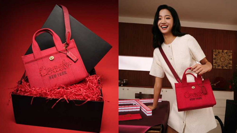 超心動!蛇年限定包盤點:Delvaux、BVLGARI、Ferragamo…女神金世正同款可愛滿分