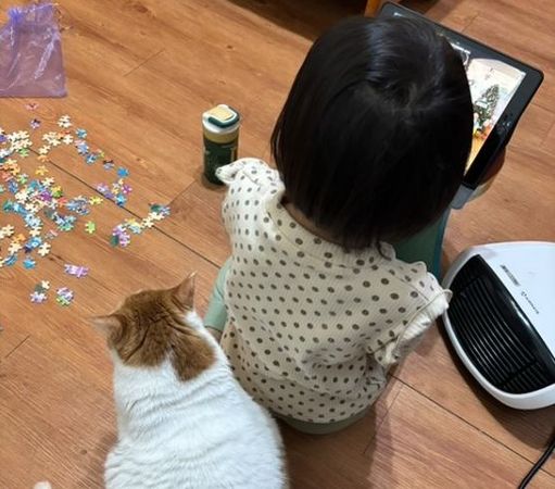 ▲貓發現暖爐不熱秒變「傻眼貓咪」 緊盯開關還轉頭瞪奴才。(圖/妞妞她姐提供,請勿隨意翻拍,以免侵權。)