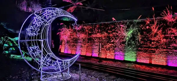 ▲苗栗舊山線鐵道自行車假日增開第五班「星光列車」。(圖/業者提供)