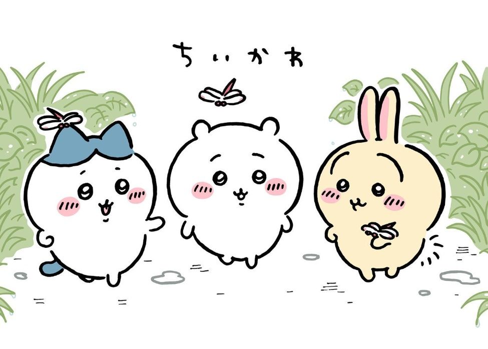 ▲吉伊卡哇 。(圖/翻攝自IG)