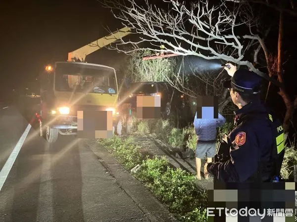 ▲民眾恍神將車輛開入草叢中。(圖/記者楊漢聲翻攝)