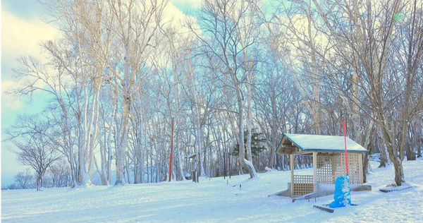 大S赴日旅遊流感併肺炎過世,有網友說,媽媽在北海道同樣遇驚魂記。(示意圖/Pexels)