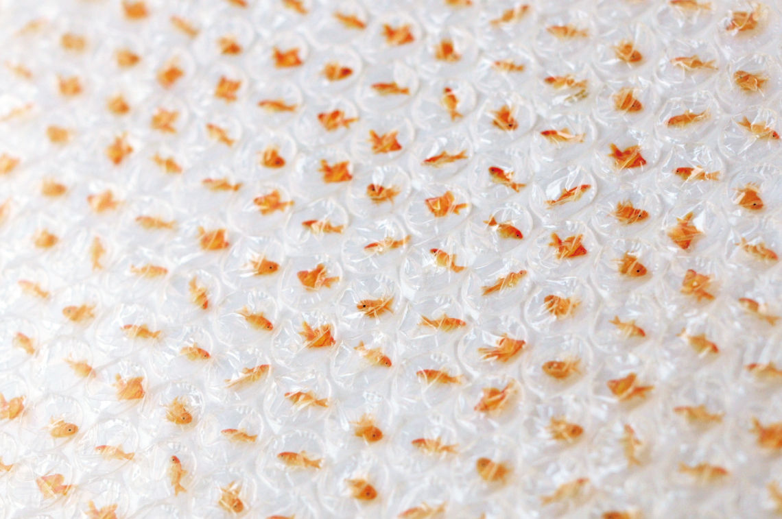 HAFT DESIGN,設計,氣泡袋,。(圖/haft-design.com)