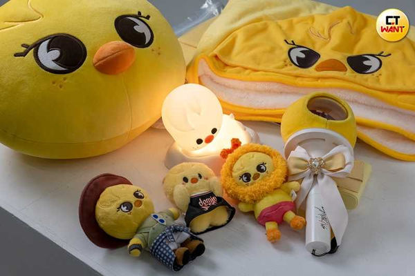 星收藏/Cindy愛Stray Kids熬過視網膜剝離 追星吸好運曝感情新變化