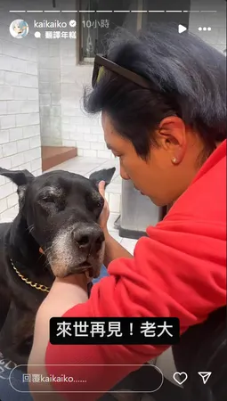 ▲▼柯震東痛失愛犬嘆:或許就跟芙莉蓮一樣。(圖/翻攝自Instagram/kaikaiko)